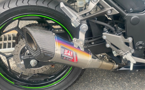 KAWASAKI NINJA 250 EX250L