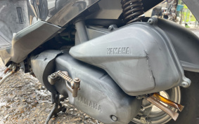 YAMAHA AKUSHI STREET SE53J