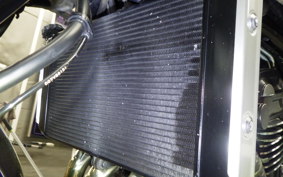 KAWASAKI Z900RS 2021