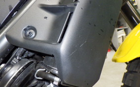 DUCATI SCRAMBLER ICON 2021