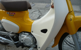 HONDA SUPER CUB50 AA09
