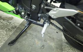 KAWASAKI ZX-4RR 2025 ZX400P