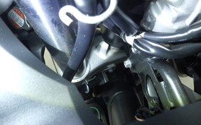 SUZUKI DL650 ( V-Strom 650 ) XTA 2019 C733A