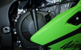 KAWASAKI ZX-4RR 2026 ZX400P