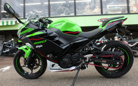 KAWASAKI NINJA 250 EX250P