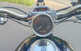 HARLEY XL1200C 2006 CGP