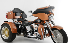 HARLEY FLSTF TRIKE 2008 BX5
