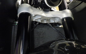 TRIUMPH DAYTONA 660 2024