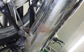 SUZUKI EN125 2A 2022
