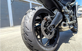 TRIUMPH TIGER SPORT 660 2026 L29U19