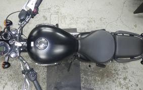 OTHER +ENFIELD ﾒﾃｵ350 2022