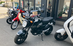 HONDA GROM JC92