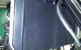 KAWASAKI Z900RS 2024 ZR900K