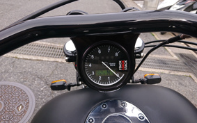 HARLEY FXDL 100th 2003 GDV