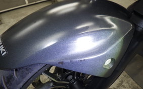 SUZUKI ｼﾞｸｻｰ250 2024