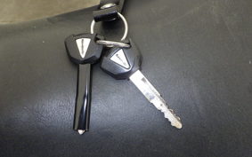 KAWASAKI ZX 1400 NINJA R A 2014