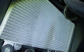 KAWASAKI NINJA 250 EX250L