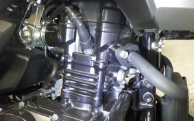 SUZUKI Vｽﾄﾛｰﾑ250A 2024