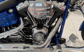 HARLEY FXCWC 2008 JK5