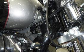 HARLEY XL1200T 2016