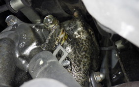 HONDA ﾀﾞﾝｸ 2007 AF74