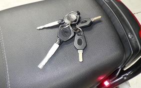 HONDA ZOOMER-X 2024 JF52