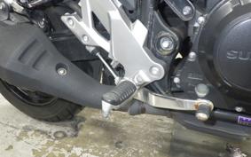 SUZUKI Vｽﾄﾛｰﾑ250 2022
