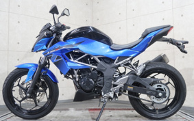 KAWASAKI Z250 SL BR250E