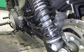 HARLEY XL883N 2016