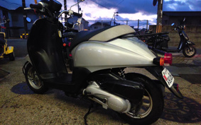 HONDA TODAY AF67