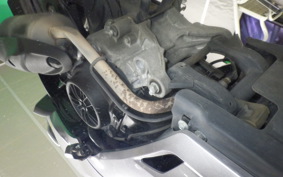 HONDA DIO 110 JF58