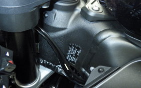 KAWASAKI NINJA ZX-6R A 2025 ZX636J