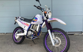 YAMAHA TT250RRAID 4GY