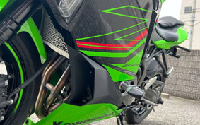 KAWASAKI Ninja ZX-4RR KRT 2024 ZX400P
