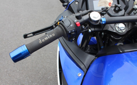 SUZUKI GSX250 R DN11A