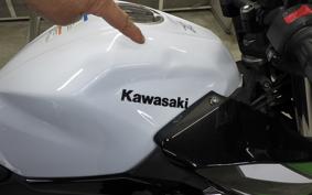KAWASAKI Z400 Gen.2 2019 EX400G