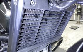 HONDA REBEL 1100 DCT 2023 SC83