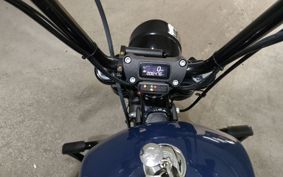 HARLEY FXBB1750 2019 YJJ
