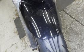 SUZUKI GOOSE 250 NJ46A