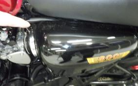 KAWASAKI W800 2013 EJ800A