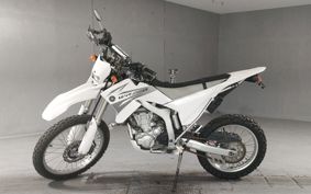 YAMAHA WR250R DG15J
