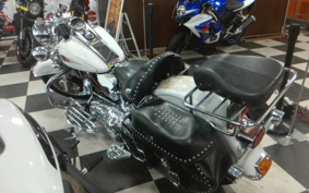 HARLEY FLSTC 2007 BW5