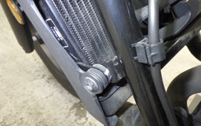 HONDA REBEL 250 A MC49