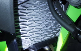 KAWASAKI NINJA 400 2024 EX400L