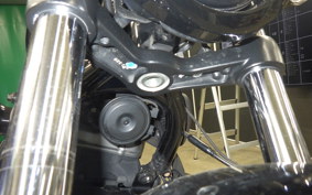 HARLEY RH975S 2023