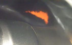 YAMAHA TT250R RAID 2013 4GY