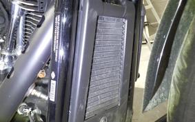 HARLEY FXBBS1870 2021