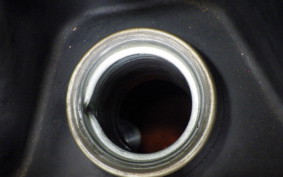 SUZUKI SKYWAVE 250 (Burgman 250) CJ42A