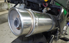 KAWASAKI KLX250D TRACKER X 2026 LX250V