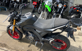 KAWASAKI Z125 PRO BR125H